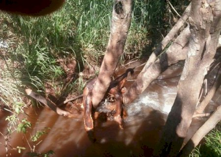 Corpo em estágio avançado de decomposição é encontrado em córrego